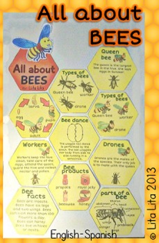 all about bees mini book by lita lita teachers pay teachers
