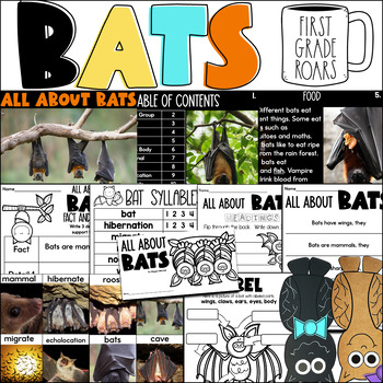 Preview of All about Bats Nonfiction Informational Text Unit