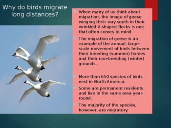 Preview of All about Birds-Why do Birds Migrate?