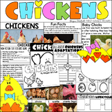 All about Chickens Hens & Roosters Nonfiction Spring Infor