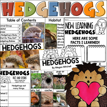Preview of All about Hedgehogs Nonfiction Informational Text Unit