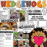 All about Hedgehogs Nonfiction Informational Text Unit