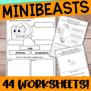 Preview of All about Mini-beasts: A thematic unit for kindergarten and 1st grade