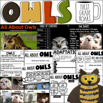 Preview of All about Owls Nonfiction Informational Text Unit