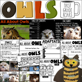 All about Owls Nonfiction Informational Text Unit