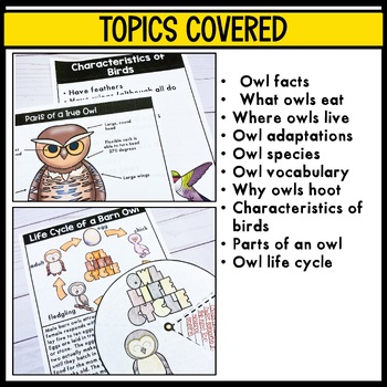 Owls fact book, life cycle, research, and project by The Rocket Resource