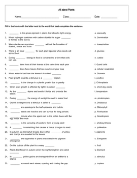 All about Plant Processes Matching pairs worksheet with key | TpT