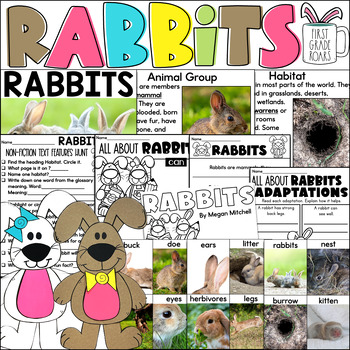 Preview of All about Rabbits & Bunnies Nonfiction Spring Informational Text Unit