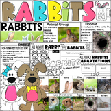 All about Rabbits & Bunnies Nonfiction Spring Informationa