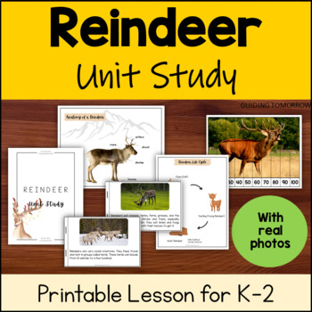 All about Reindeer, Reindeer Anatomy, Reindeer Life Cycle Unit for ...