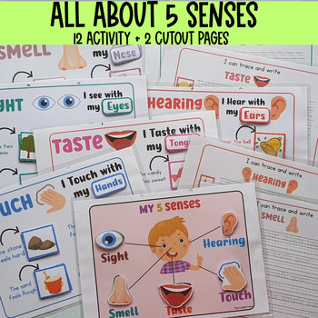 Preview of My senses activity, Toddler learning Binder, Homeschool Printables