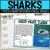 All about Sharks | Ocean Animals