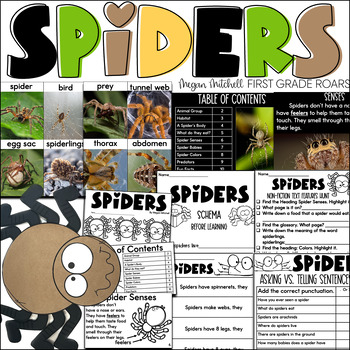 Preview of All about Spiders Nonfiction Informational Text Unit