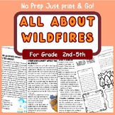 All about Wildfires | Natural Disasters | Activities | Res