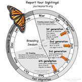 All about butterflies Endangered Monarch Watch webinar