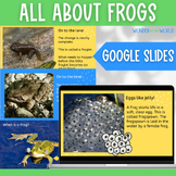 All about frogs Google Slides presentation lesson starter 