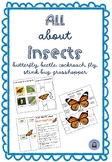 All about insects - Part 2