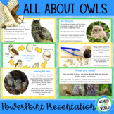 All about owls slide show PowerPoint presentation