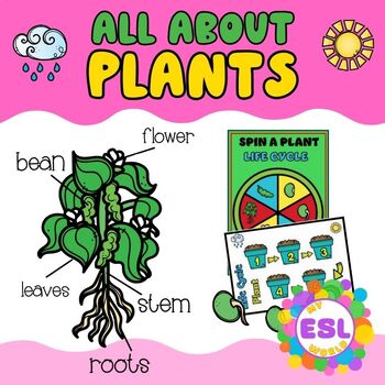 Preview of All about plants - ESL Lesson for elementary school students