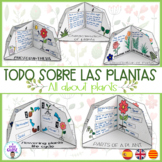 Triorama- All about plants. Las plantas. Spanish/ English