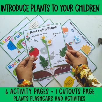 Preview of All About Plants, Parts of Plant, Plant Life Cycle, Plant Activity, learn plants