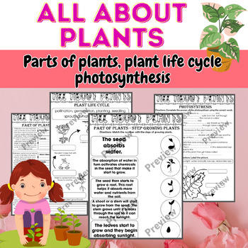 Preview of All about plants worksheets/ Plant life cycle, Part of plant, Photosynthesis