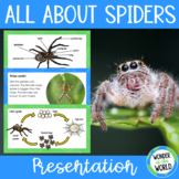 All about spiders presentation Google Slides and PowerPoin