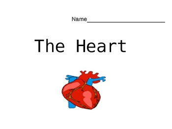 Preview of All about the Heart Quiz/Review
