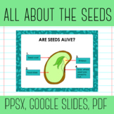 All about the Seeds: Science Elementary - Planting seeds