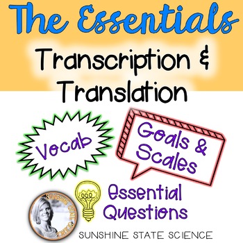 Preview of Transcription & Translation: Goals & Scale, Essential Questions & Vocab