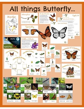 Preview of All things Butterfly Loose Materials- Montessori Style