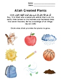 Allah Created Plants Worksheet