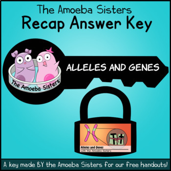 Alleles And Genes Answer Key By The Amoeba Sisters Amoeba Sisters Answer Key