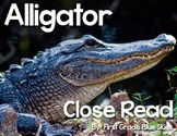 Alligator Close Read