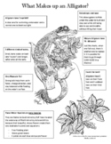 Alligator Fun Facts & coloring page, creative learning, sc