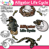 Alligator Life Cycle Clipart: Animal Clip Art, Black & Whi