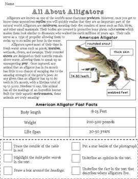 case study american alligator answer key
