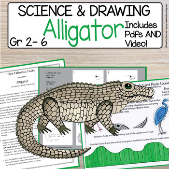 Alligator Step by Step Directed Drawing No Prep Life Science Art Lesson