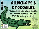 Alligators and Crocodiles - Actual-Size Models and Poster Reports