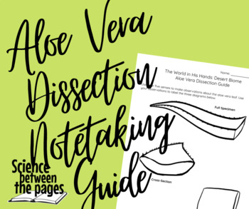 Preview of Aloe Vera Dissection Guide