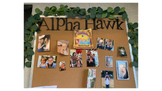 AlphaHawk Wall displays