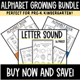 Alphabet Activities for Kindergarten and Special Education
