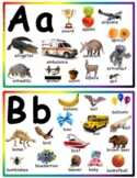 Alphabet Beginning Letter Vocabulary cards, Reggio images,