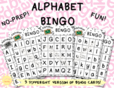 Alphabet Bingo Game] 3 DIFFERENT VERSIONS for Elementary a