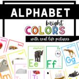 Alphabet Bright Letters Real Life Pictures