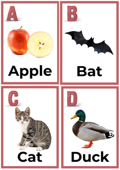 Alphabet Cards & Poster - For Phonics and Alphabet Learning | TpT