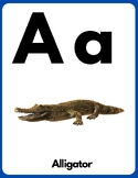 Alphabet Cards: Real Animal Images