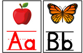 Alphabet Wall Cards- Aligned with science of reading! (See
