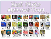 Alphabet Chart With Real Photos!