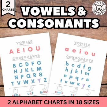 Preview of Vowels and Consonants Chart, Vowels Poster, Alphabet for Pre K Kindergarten 1st